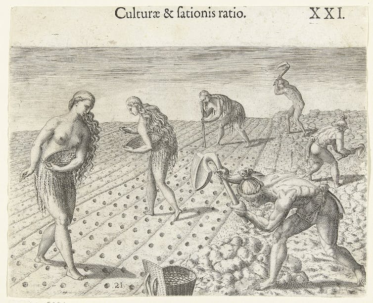 Etching by Theodor de Bry, depicting Native American agriculture.