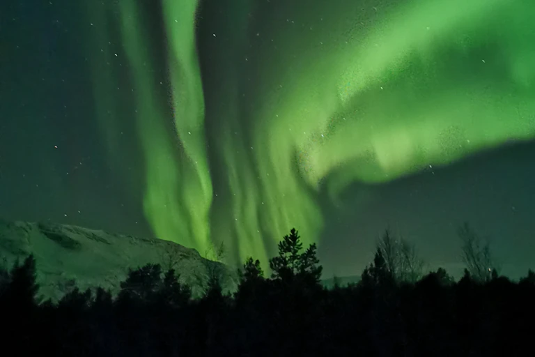 Aurores boréales vertes dans un ciel nocturne.