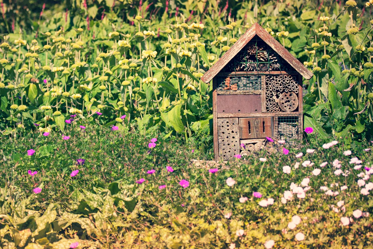 garden flowers and wooden bug hotel on right side amongst flowers