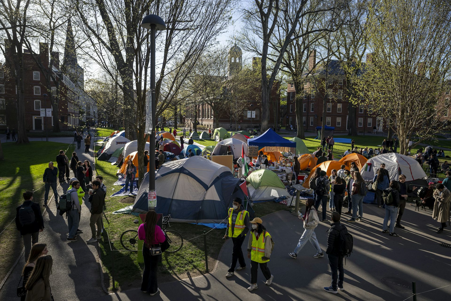 About half a dozen tents have been set up on Harvard's campus, and young people are milling around in them.