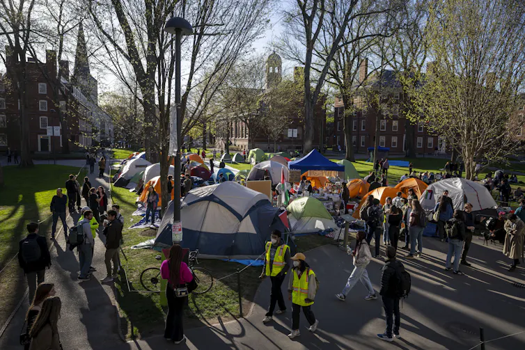 About half a dozen tents have been set up on Harvard's campus, and young people are milling around in them.