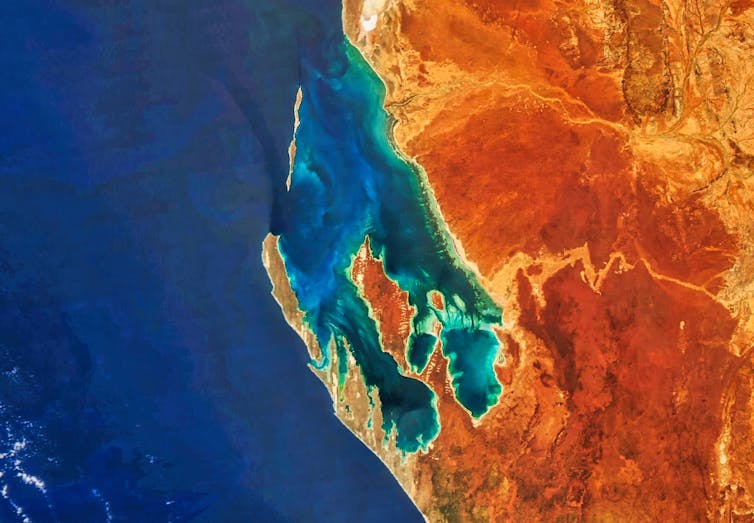 shark bay from space