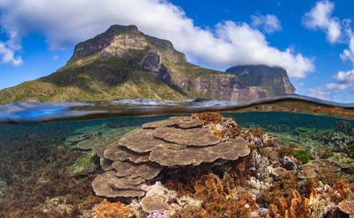 Australia’s 3 other World Heritage reefs are also in trouble