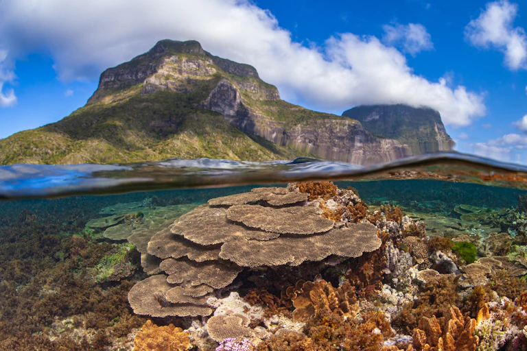lord howe island reef