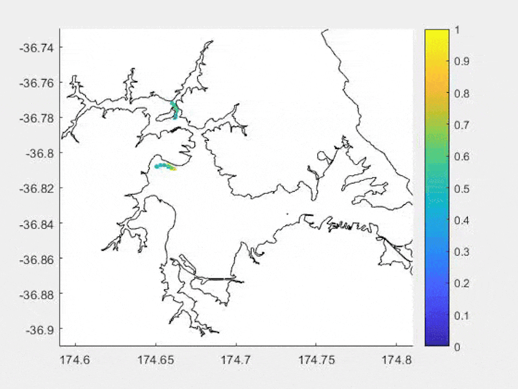 How buoyant plastics drift during spring tides in New Zealand estuaries.