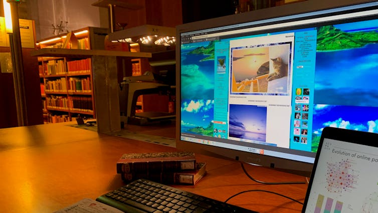 Un écran lumineux sur lequel on voit un chat et un paysage de mer, dans une bibliothèque aux lumières tamisées