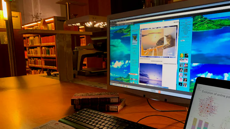 Un écran lumineux sur lequel on voit un chat et un paysage de mer, dans une bibliothèque aux lumières tamisées