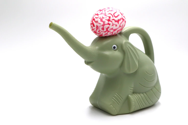 Elephant watering can with plastic brain on top