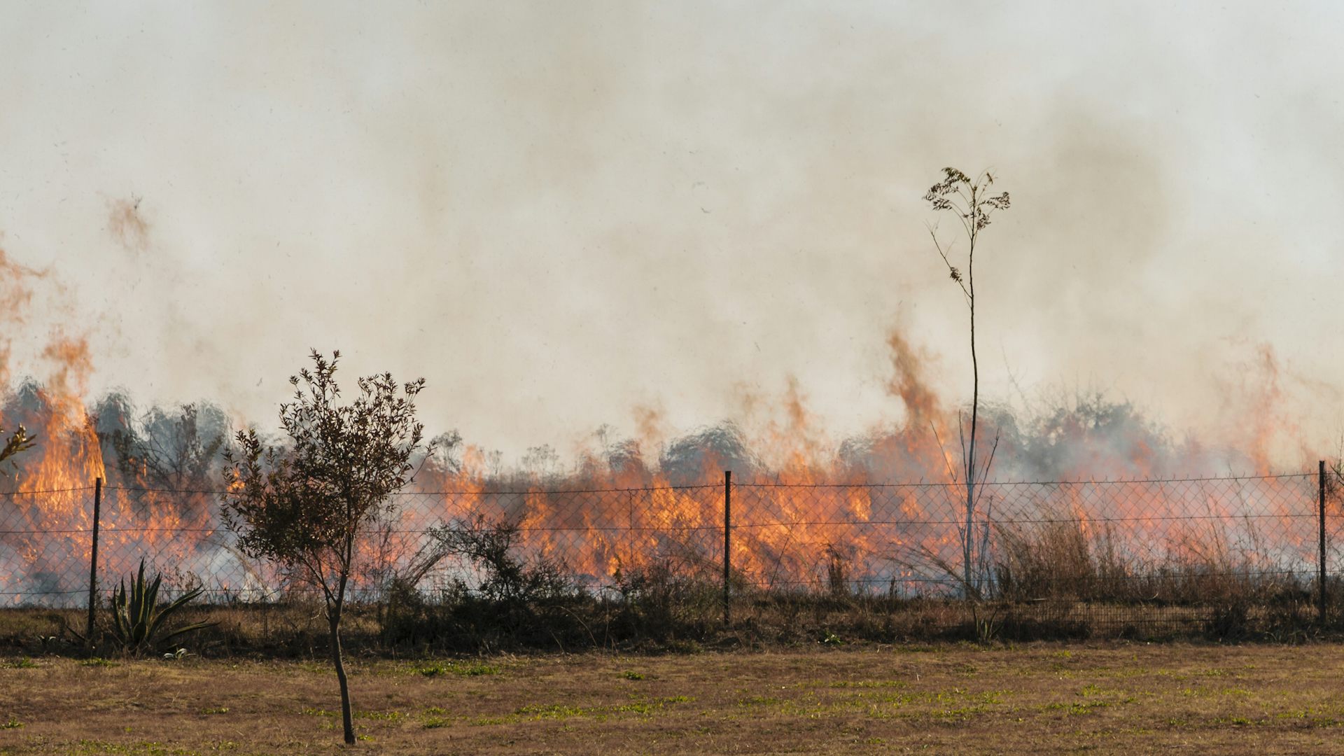 Wildfires in South Africa are set to increase: how legal action 