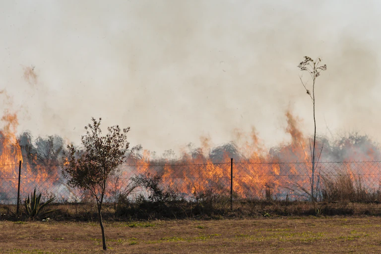 A massive wildfire burning alongside a fence