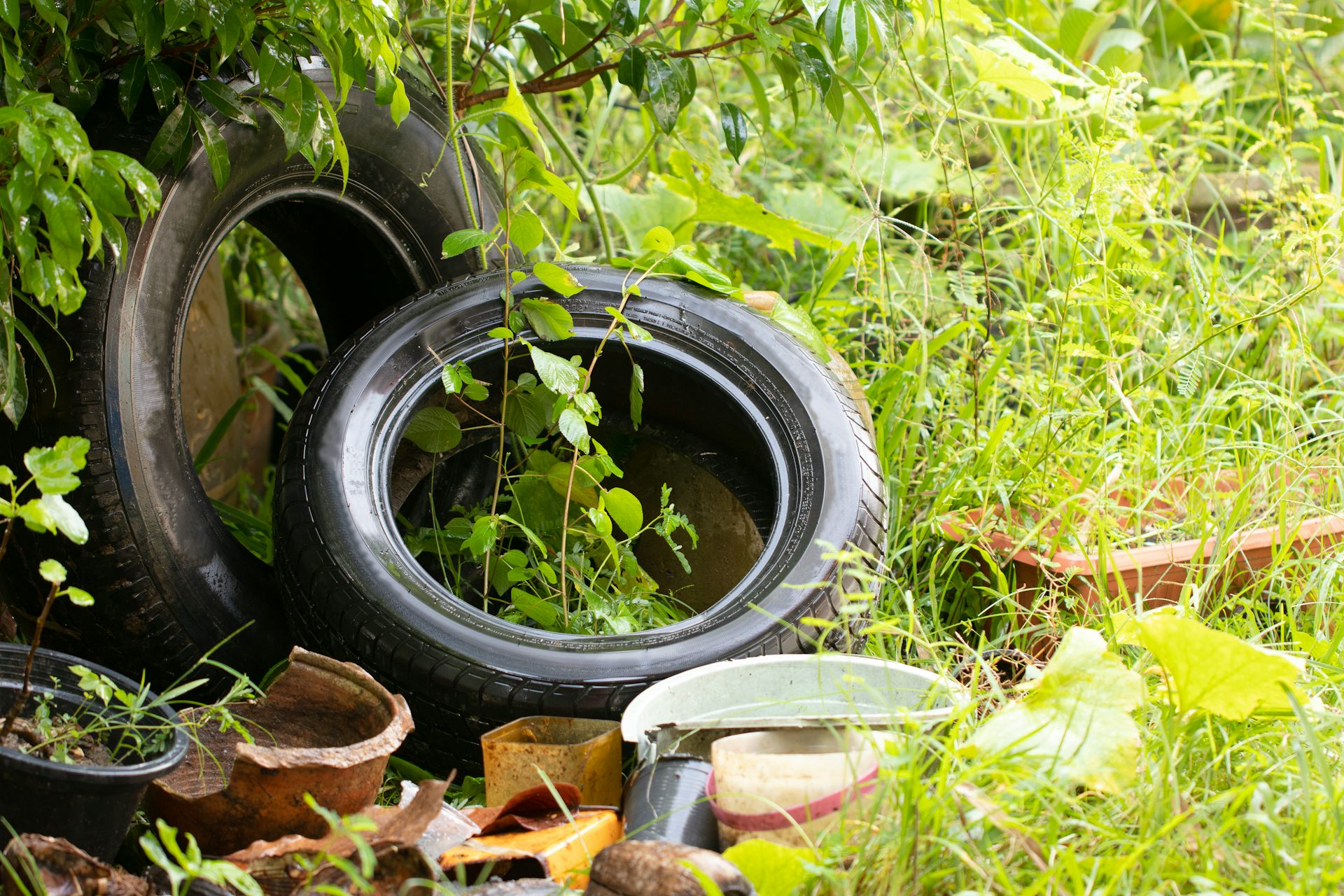 De vieux pneus et réservoirs abandonnés dans la nature.