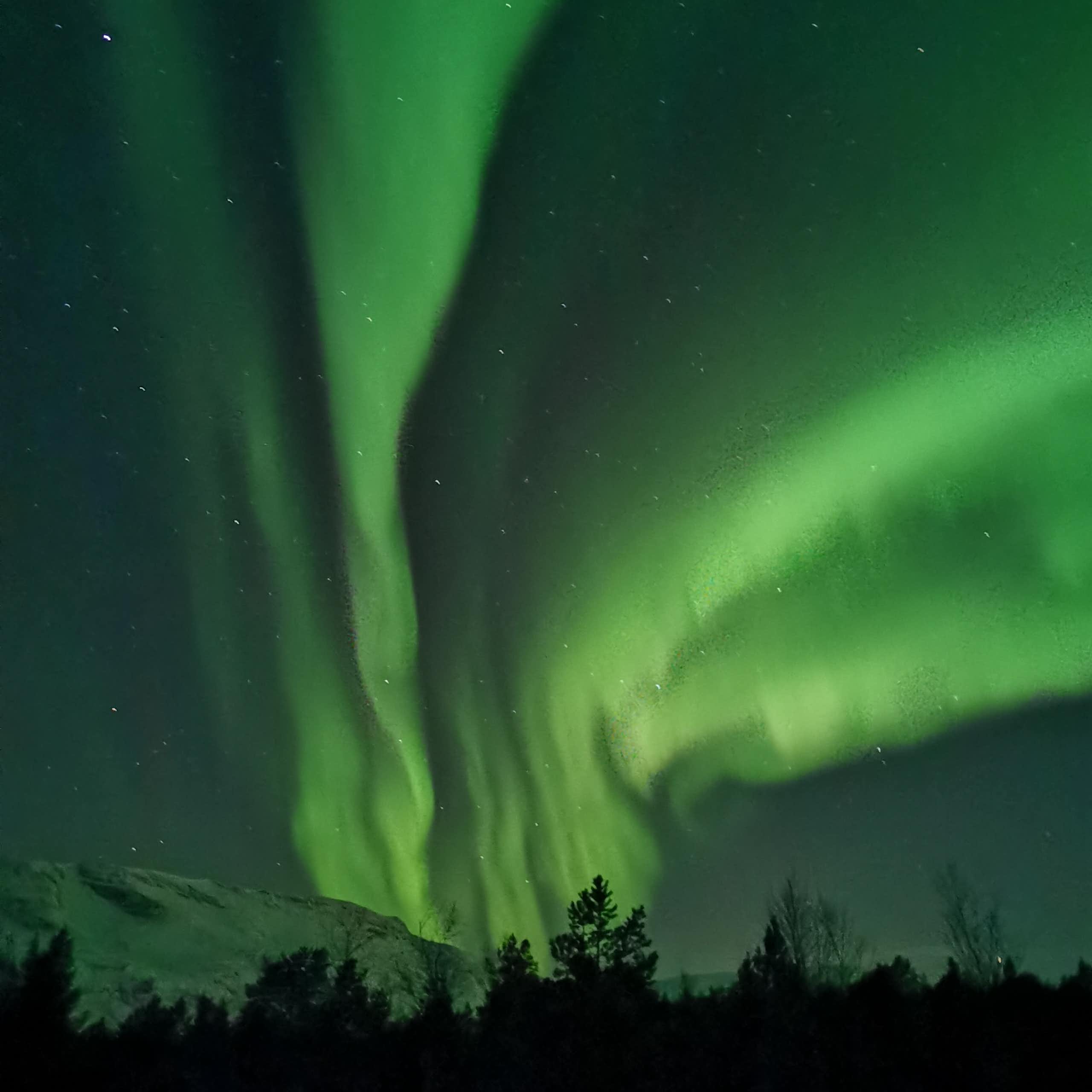 Green northern lights in the night sky.