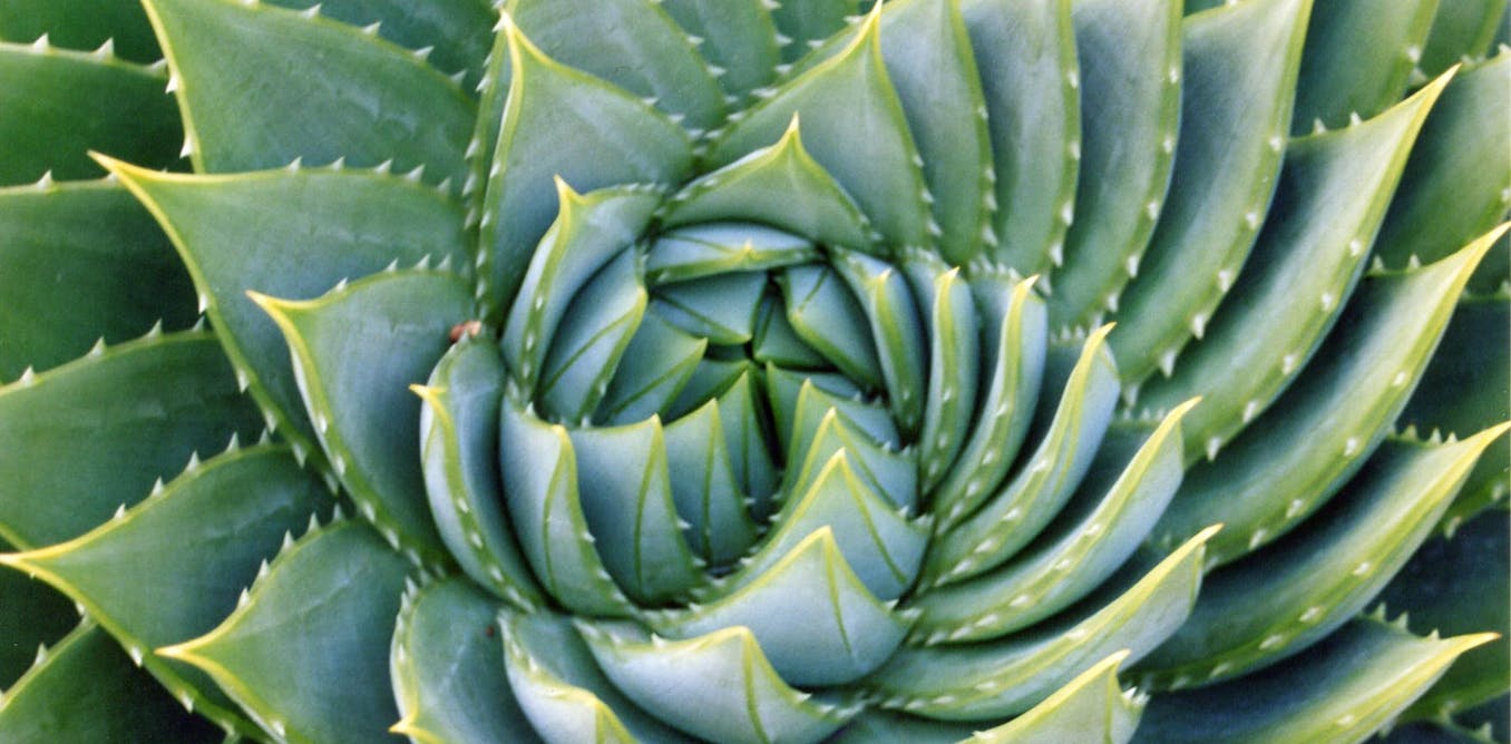 What does mathematics really say about reality? What does mathematics really say about reality?