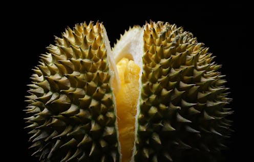 Why the stinky durian really is the ‘king of all fruits’