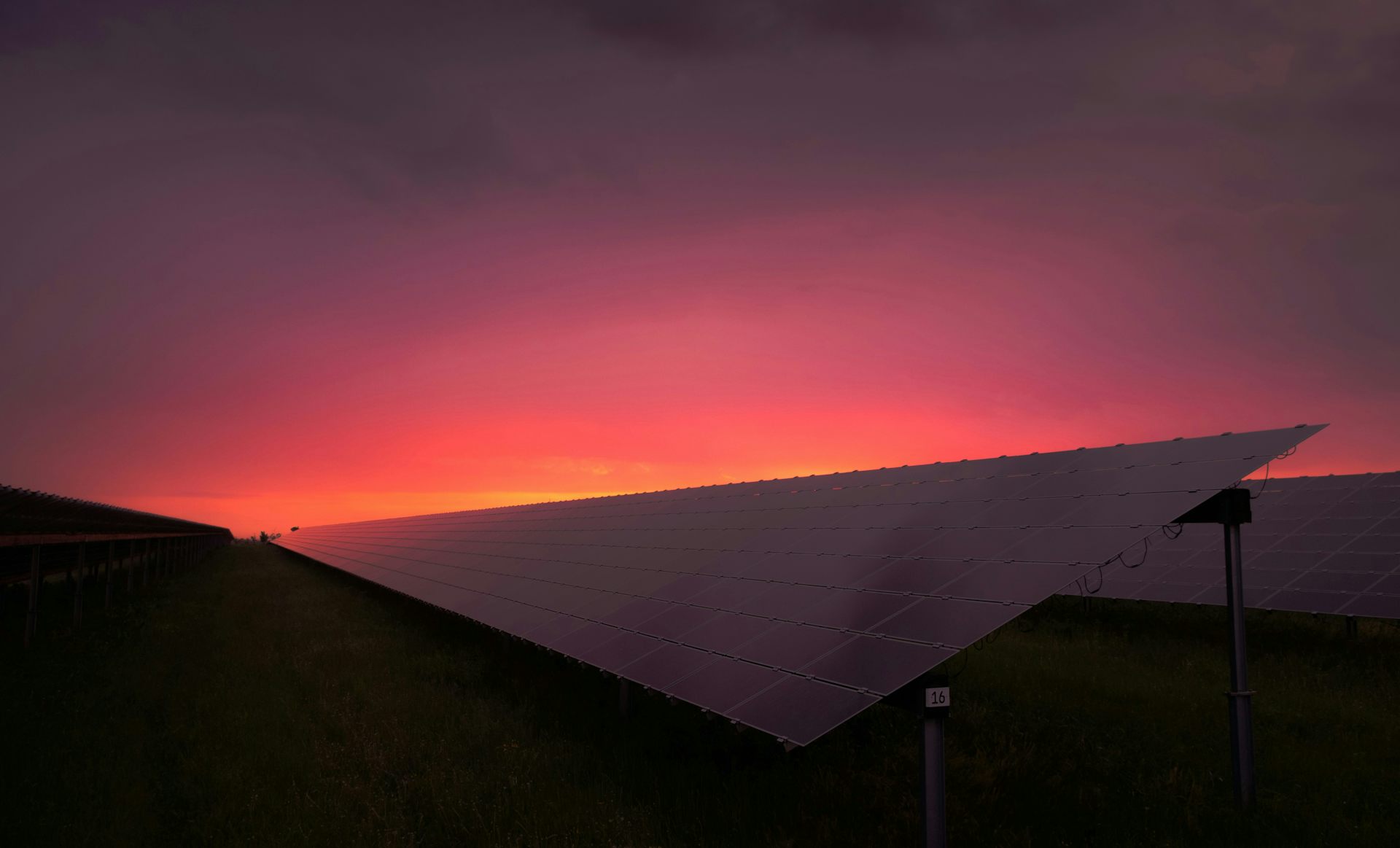 Des panneaux solaires sous la lumière du soleil couchant.