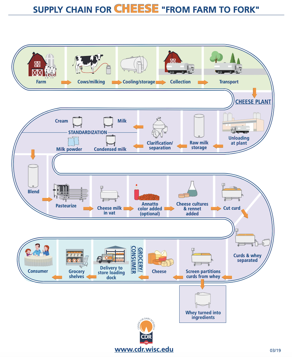The Complex Science Of Cheesemaking | Empirics Asia