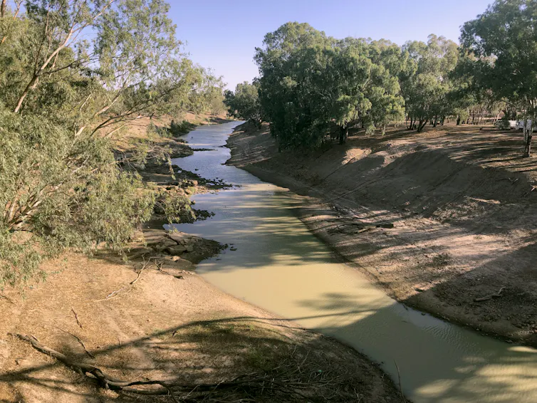 A large empty river channel with small greenish pools along the bottom.