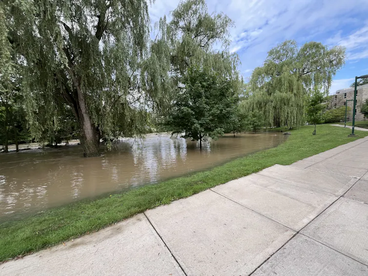 A flooded river bank.