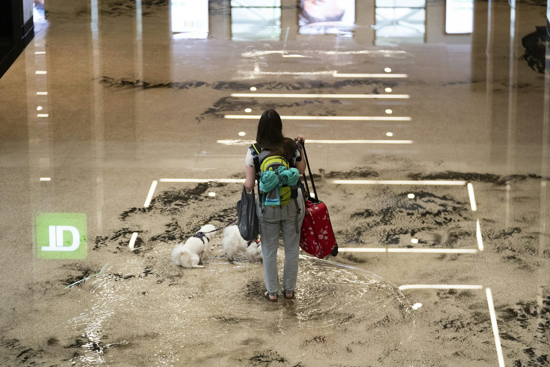 A woman and a dog walk through a flooded building.