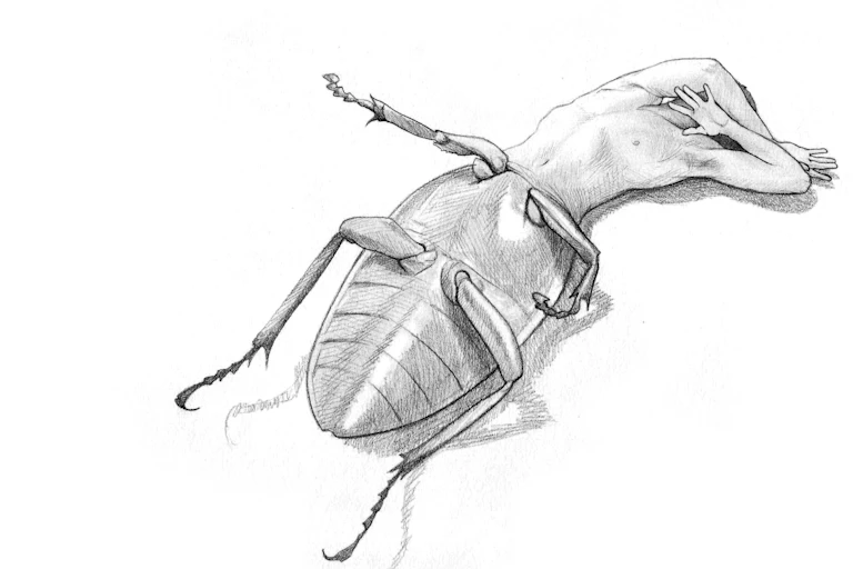 Torso of a man attached to the body of an insect.