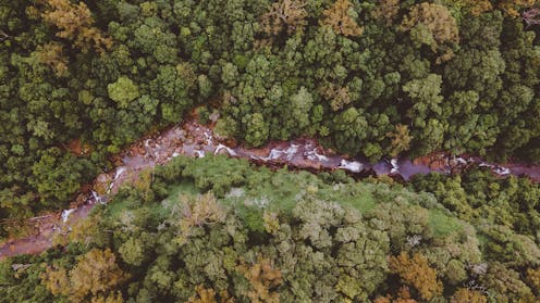 here’s what’s in NSW’s biodiversity reforms