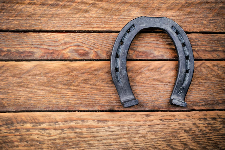 A horseshoe against a wooden backdrop