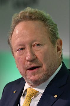 Fortescue's founder and executive chairman Andrew 'Twiggy' Forrest.