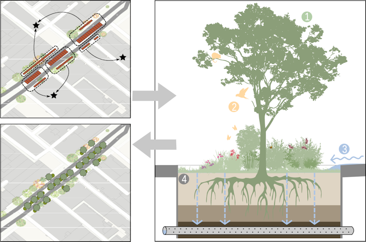 Schematic diagram showing how a small biodiverse green space replaces a parking space