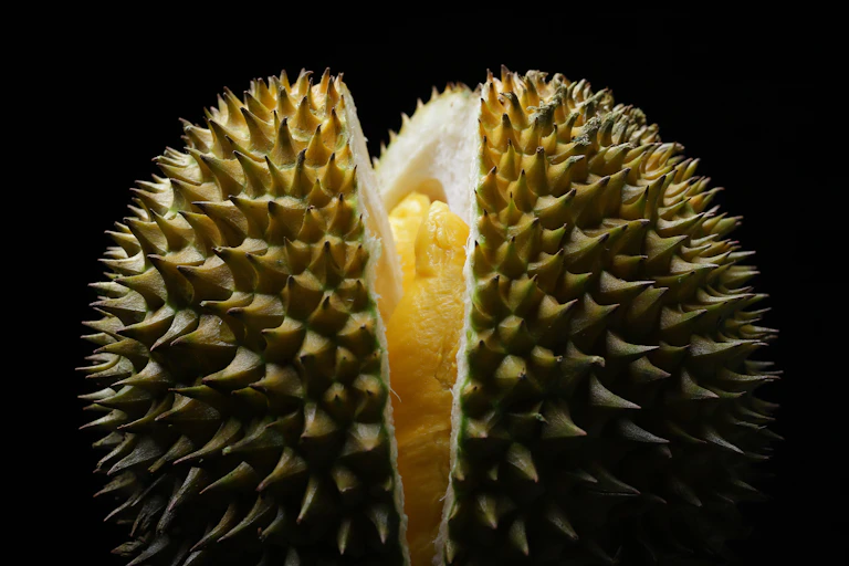 A durian partially sliced open to reveal the flesh