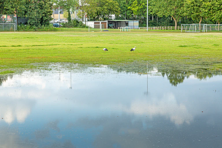 A waterlogged sports field lies deserted.