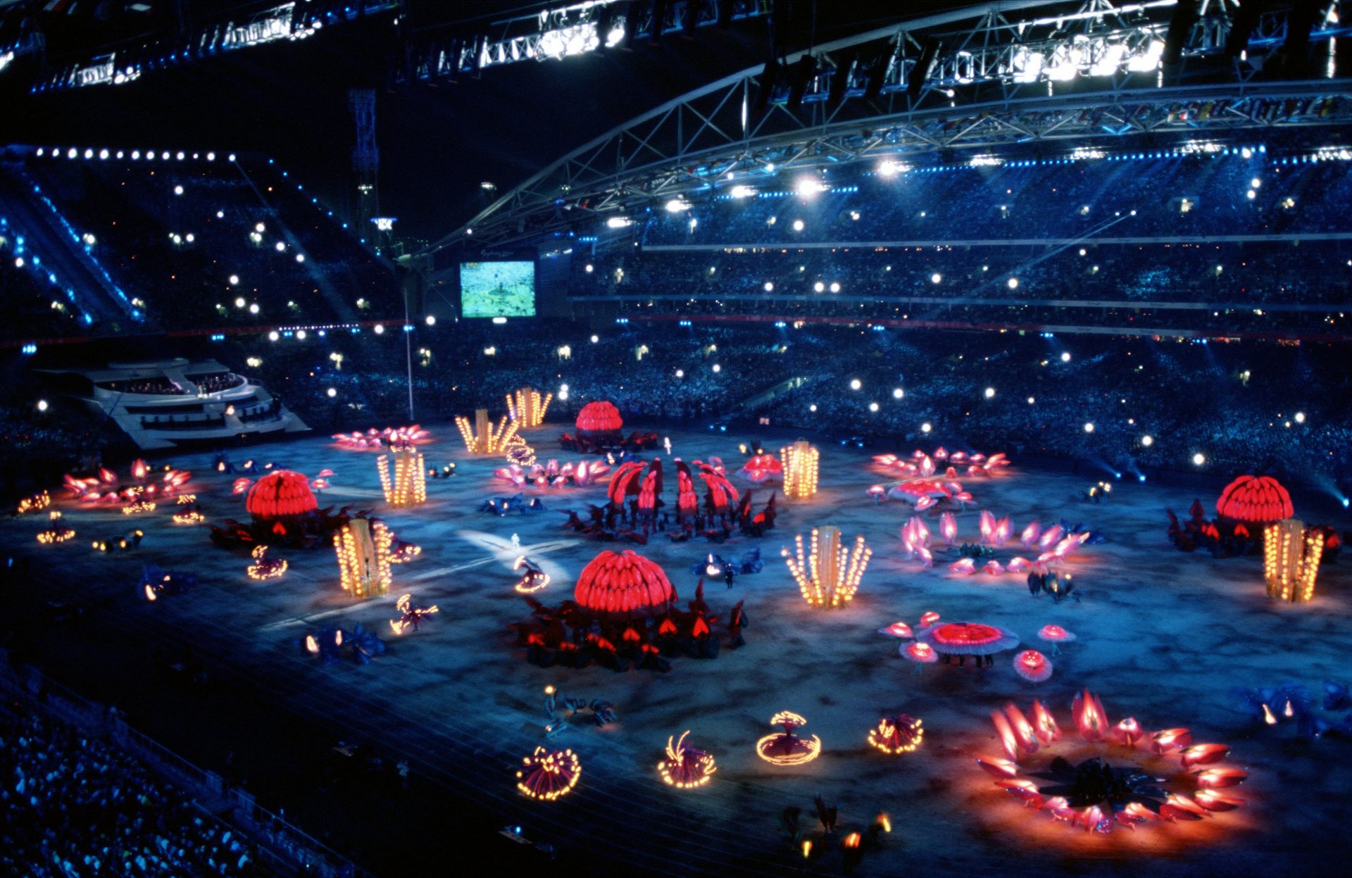 A stadium full of colourful lights in the shape of flowers