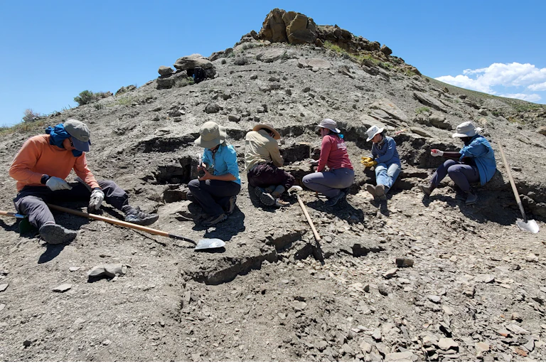 Photo of six people digging in dirt on a rocky hillside.