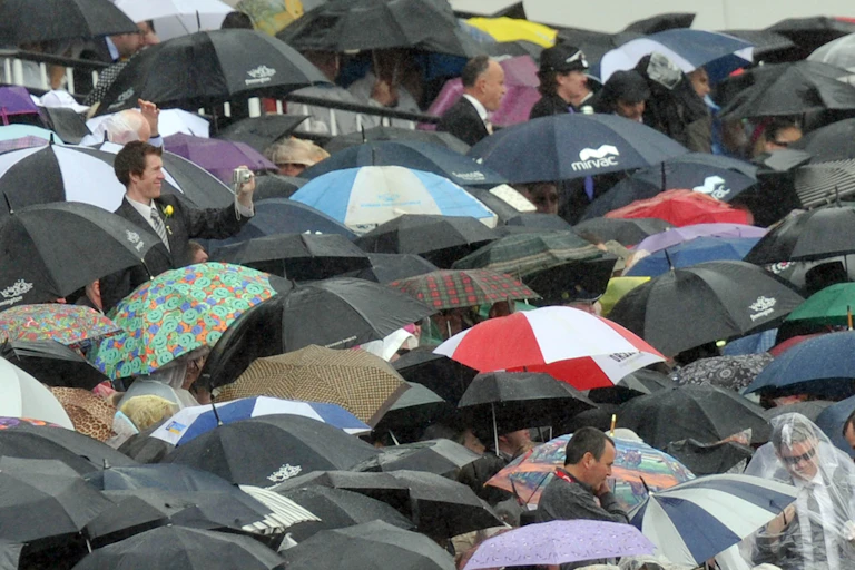 a sea of umbrellas