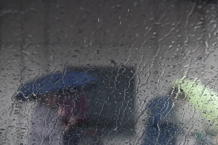 reflection on wet surface of people holding umbrellas