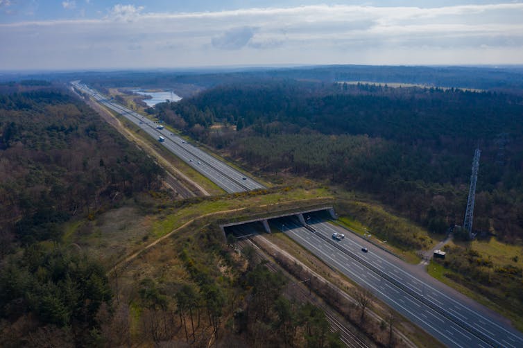 A grassy overpass straddling two motorways seen from above.