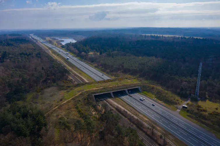 A grassy overpass straddling two motorways seen from above.