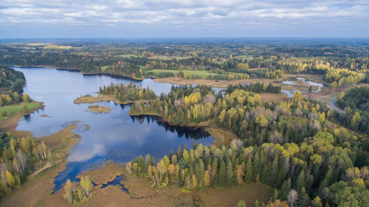 Lakes, forests, viewed from above