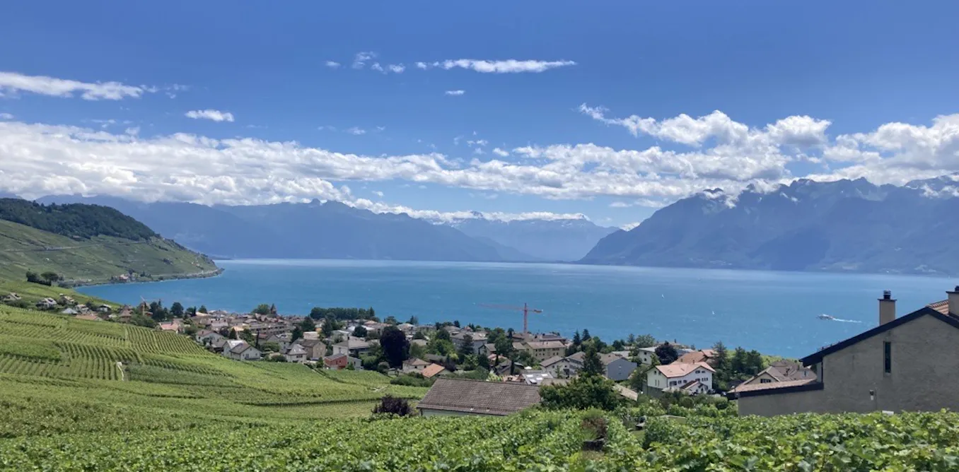 Pourquoi vous ne trouverez pas de vin suisse chez le caviste Pourquoi vous ne trouverez pas de vin suisse chez le caviste
