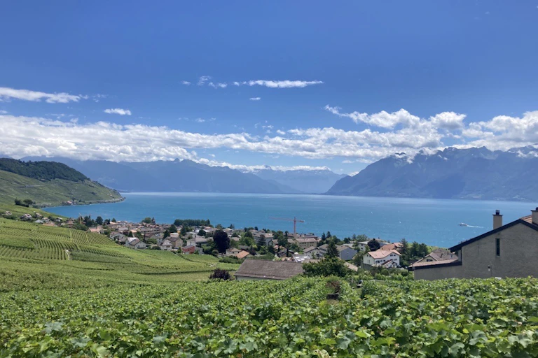 Vignobles de Lavaux