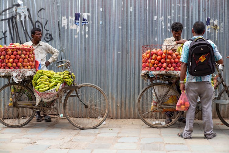 Two different fruit sellers sell peaches and bananas from bicycles
