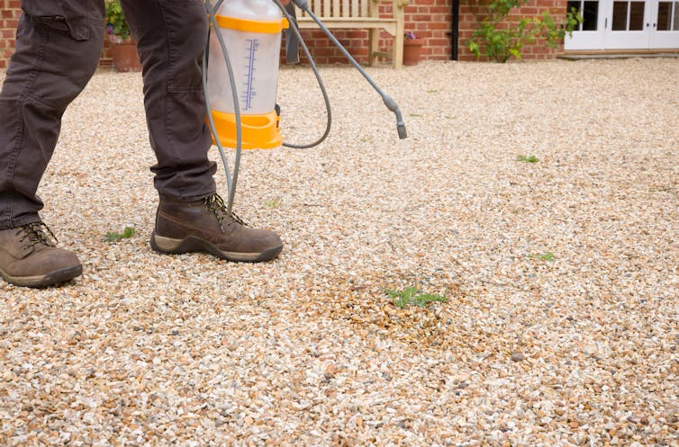 Man sprays herbicide.