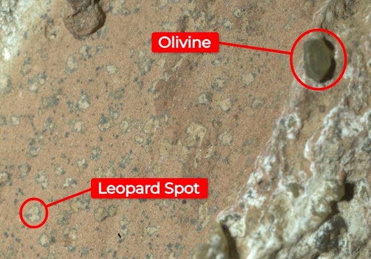 Especialista explica o que são as “evidências de vida” encontradas por robô da Nasa em Marte