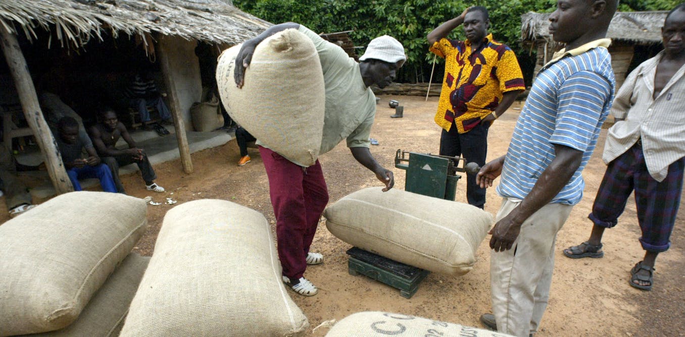 Data protection is poor for african farmers who use digital services: kenya and ghana cases highlight gaps