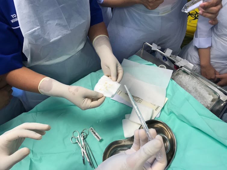 Hands of a medical team handling medical equipment.