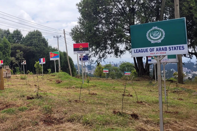 short grassy field, country flags on white sticks, sign says league of arab states