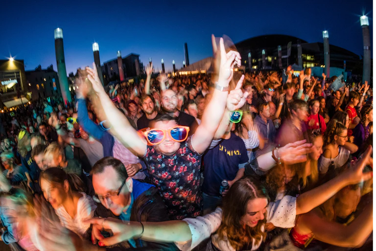 A large crowd of partying revellers