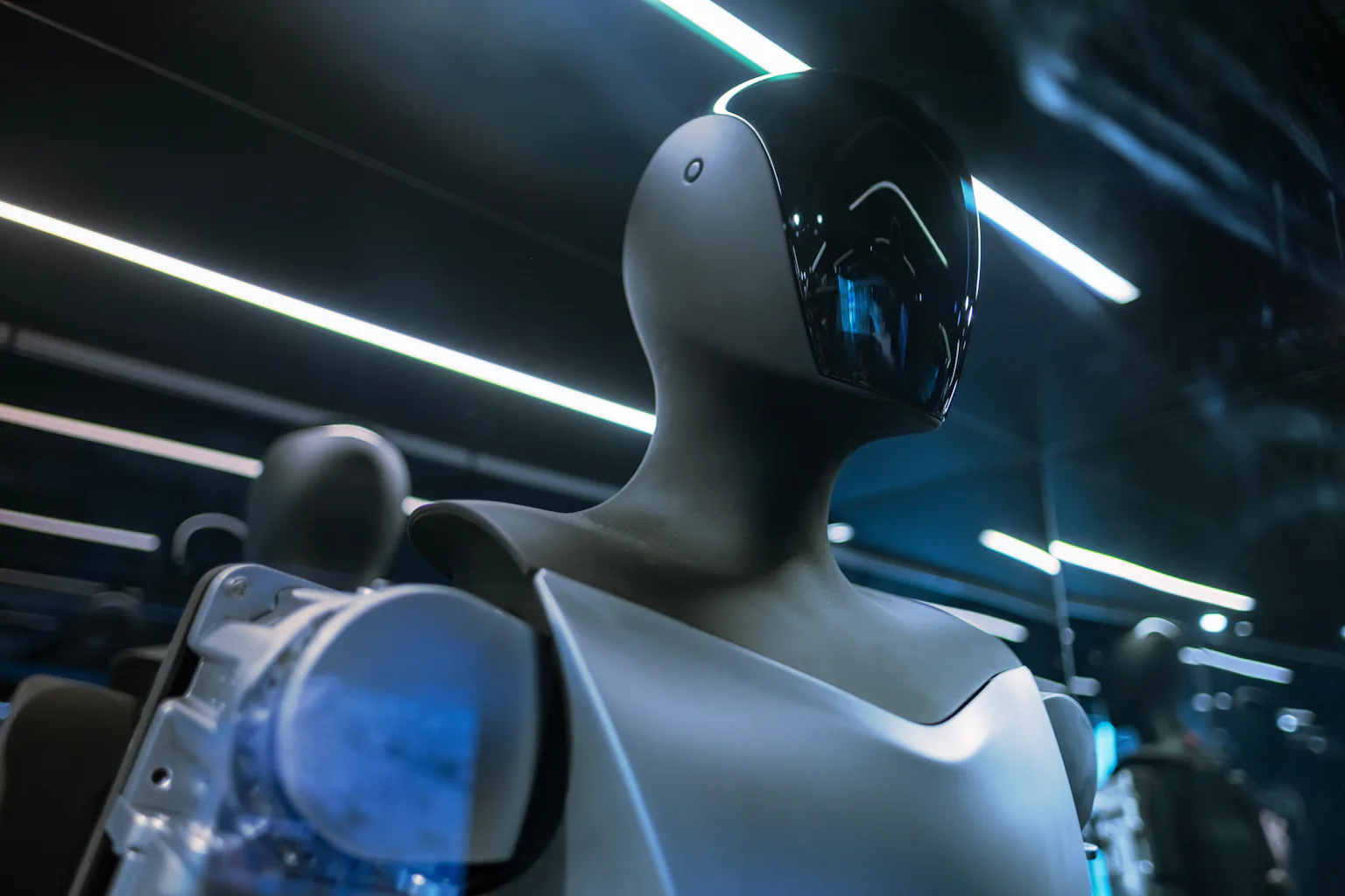 Elon Musk's Tesla is promising to sell a humanoid robot. It could be the first of many Elon Musk's Tesla is promising to sell a humanoid robot. It could be the first of many