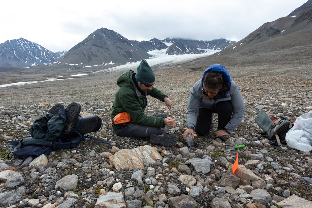 Cientistas acompanham surgimento de novos ecossistemas onde geleiras e mantos de gelo derreteram