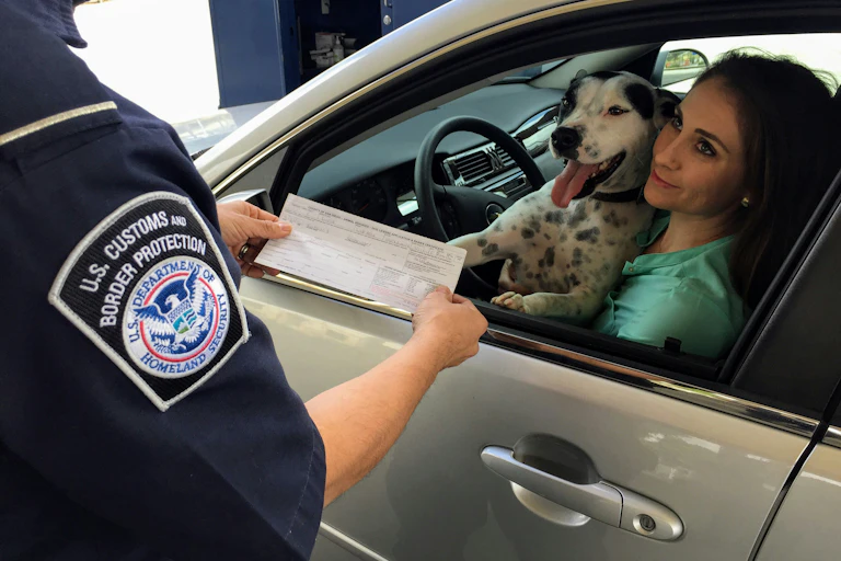 The shoulder and arm of a U.S. Customs and Border Protection agent in the foreground, holding a form, and a woman with a dog in a car with the window rolled down