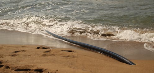 Only 15 known underwater internet cables connect Australia to the world – and they’re under threat from fishing boats, spies and natural disasters